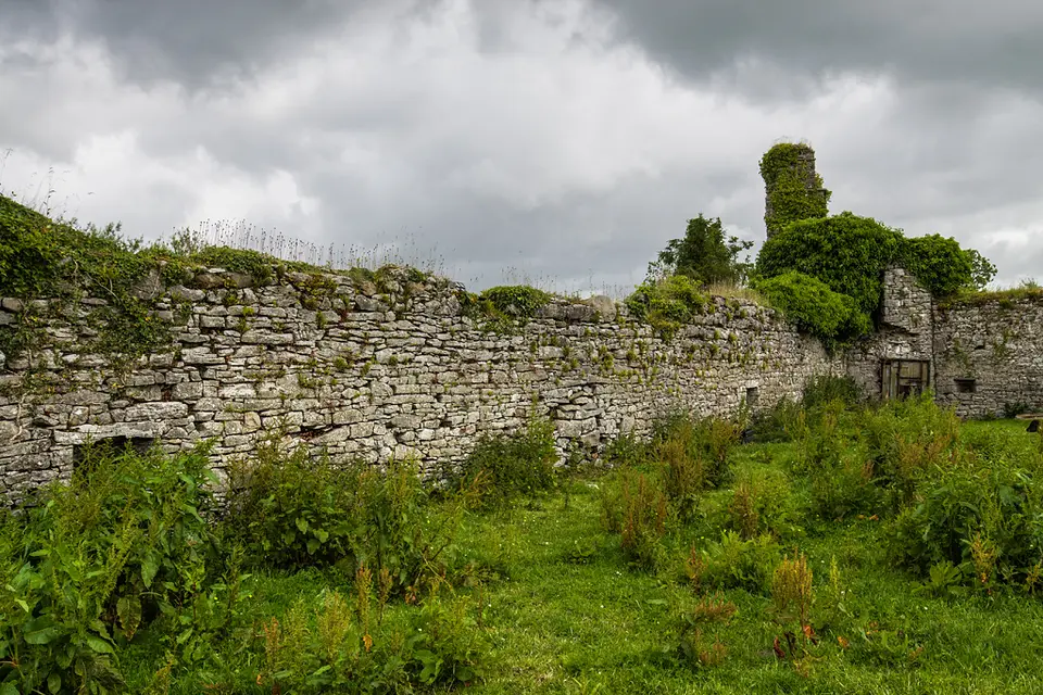 Castles of Connacht: Cootehall, Roscommon (1)