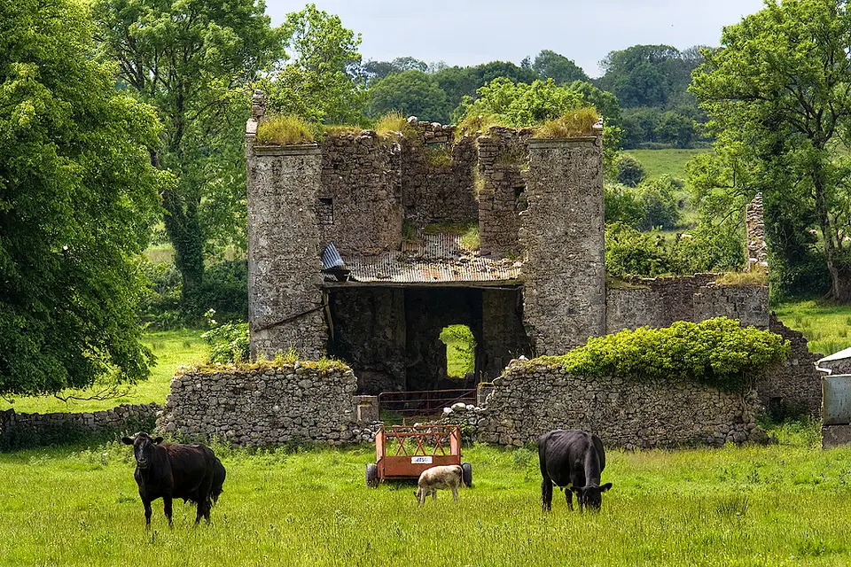 Castles of Connacht: Longfield, Roscommon