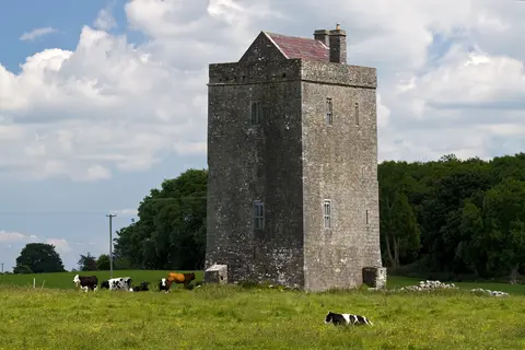 Castles of Connacht: Moyode, Galway (2)