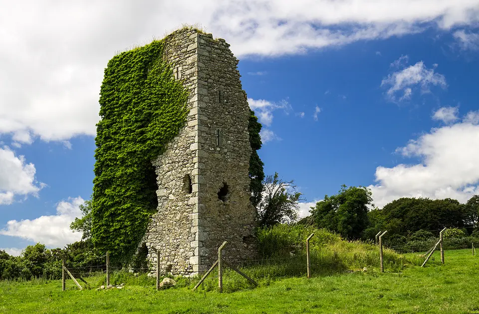 Castles of Leinster: Adamstown, Wexford (1)