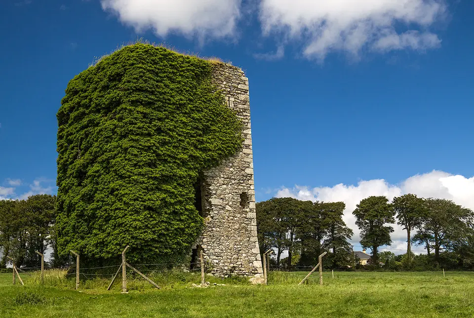 Castles of Leinster: Adamstown, Wexford (2)