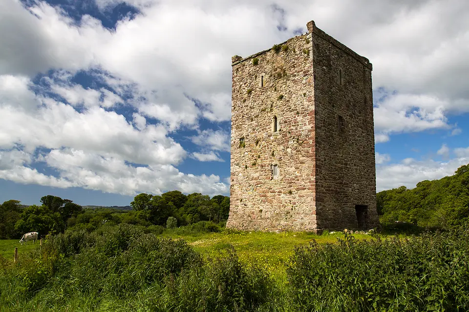 Castles of Leinster: Artramon, Wexford (2)