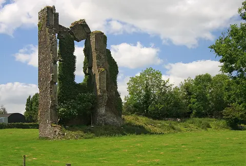 Castles of Leinster: Balleen, Kilkenny (2)