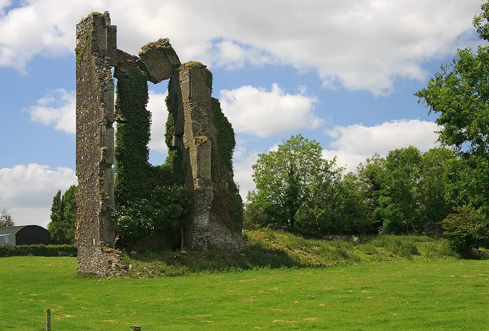 Castles of Leinster: Balleen, Kilkenny (2)
