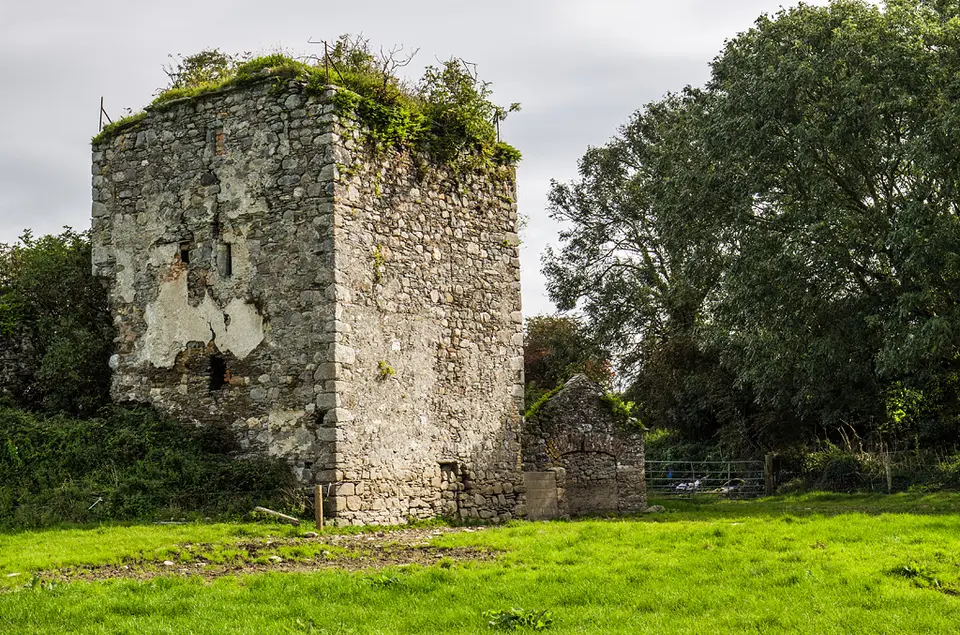 Castles of Leinster: Ballyfarnoge, Wexford (1)