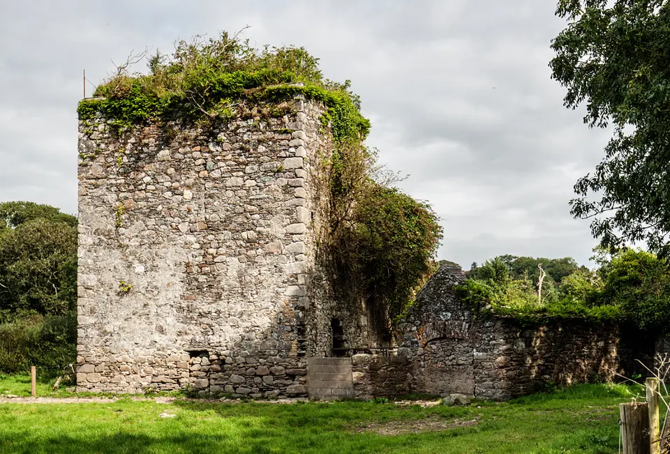 Castles of Leinster: Ballyfarnoge, Wexford (2)
