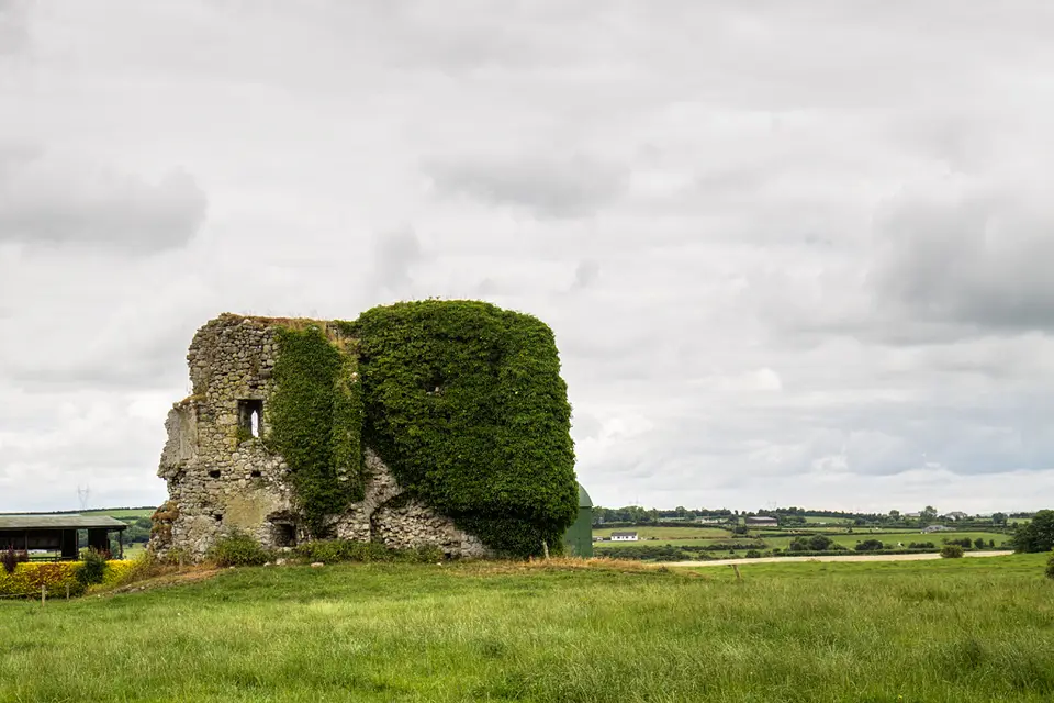 Castles of Leinster: Ballygeehin, Laois