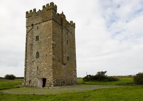Castles of Leinster: Ballyhealy, Wexford (1)
