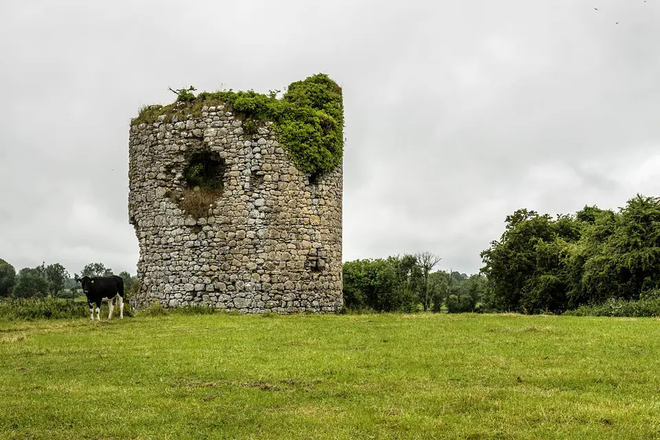 Castles of Leinster: Ballymore, Westmeath (1)