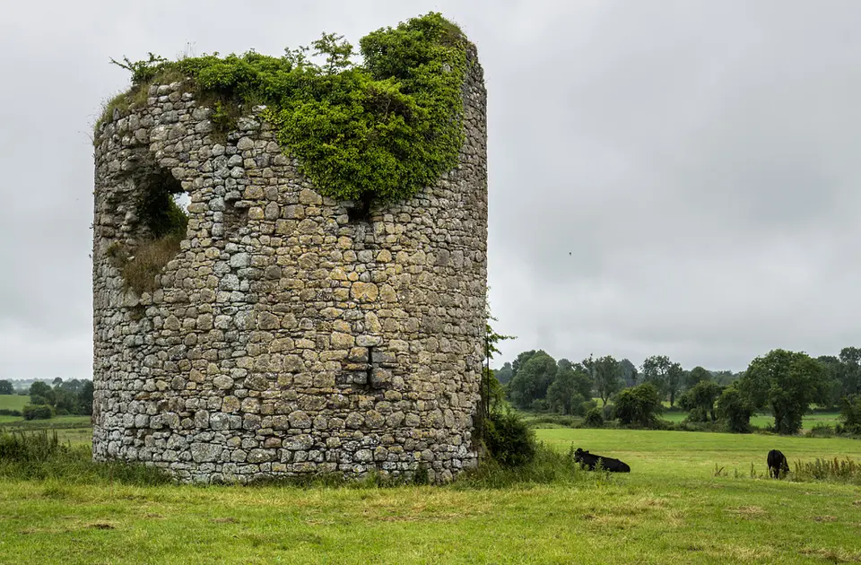 Castles of Leinster: Ballymore, Westmeath (2)
