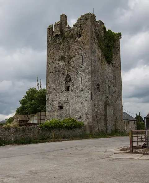 Castles of Leinster, Ballyragget, Kilkenny geograph.org.uk 1393576