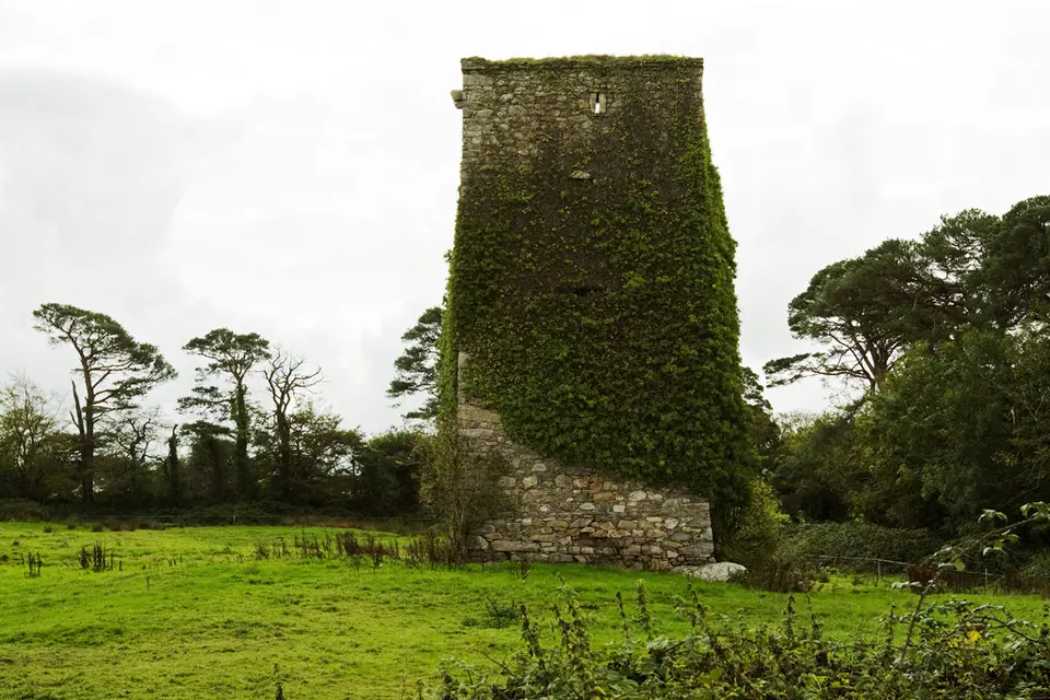 Castles of Leinster: Barntown, Wexford (2)