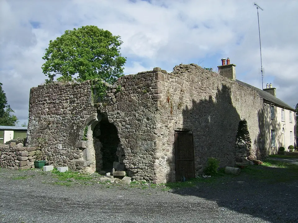 Castles of Leinster: Blackwood, Kildare (1)
