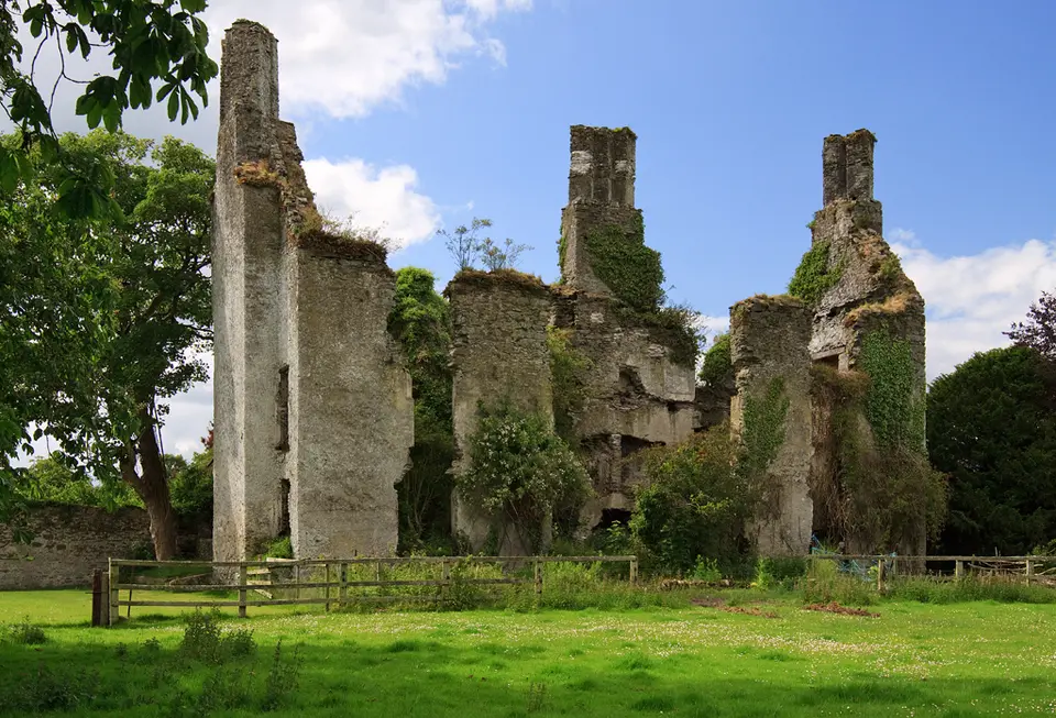 Castles of Leinster: Calverstown, Kildare (1)