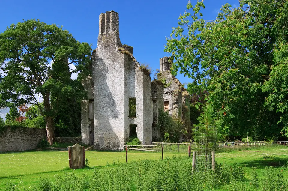 Castles of Leinster: Calverstown, Kildare (2)