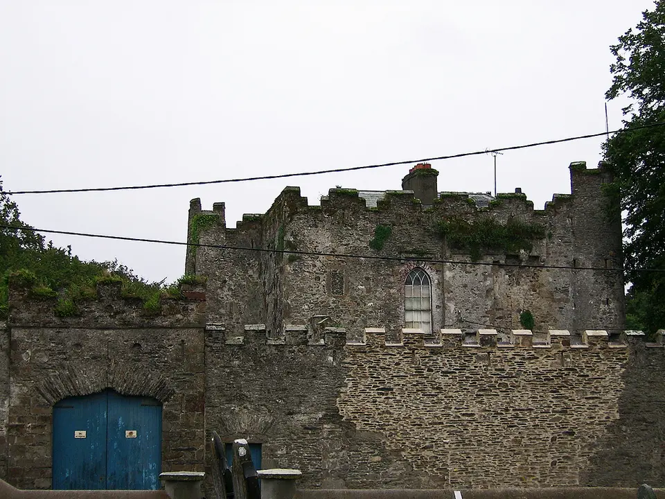 Castles of Leinster: Carnew, Wicklow