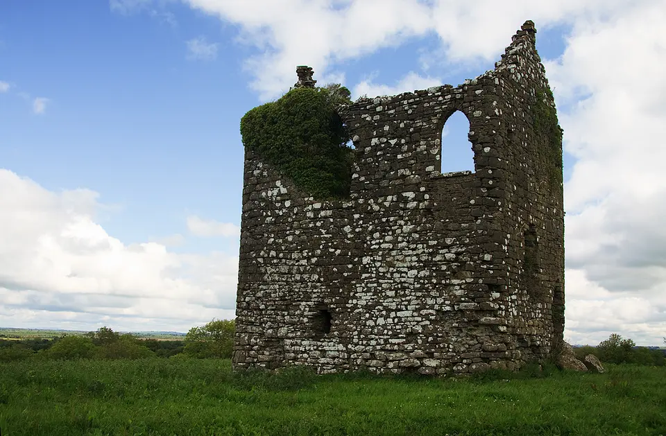 Castles of Leinster: Carrick, Westmeath