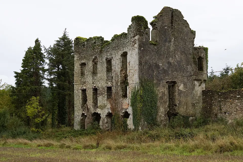 Castles of Leinster: Castleboro, Wexford