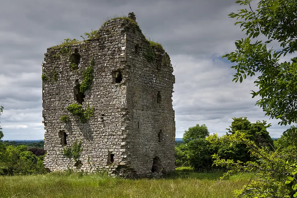 Castles of Leinster: Castlerea, Longford (2)