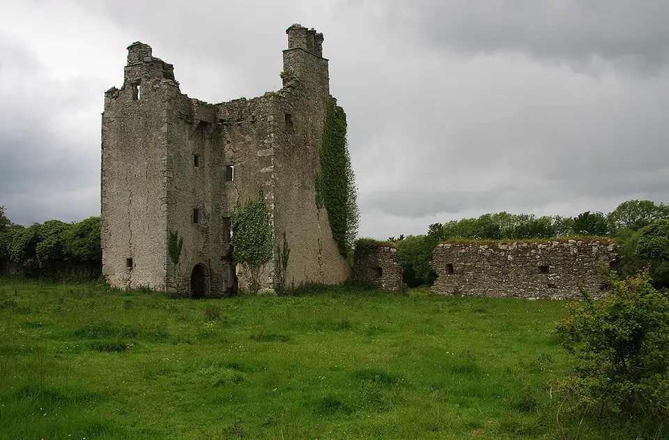 Castles of Leinster: Cloncourse, Laois (1)