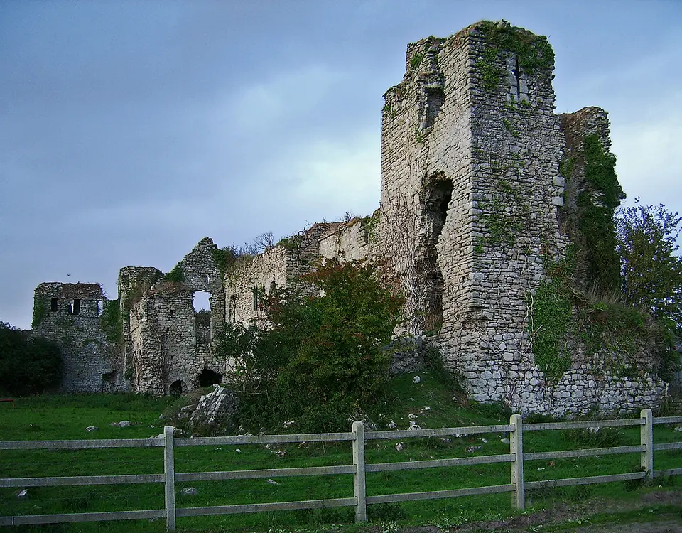 Castles of Leinster: Clonmore, Carlow (1)