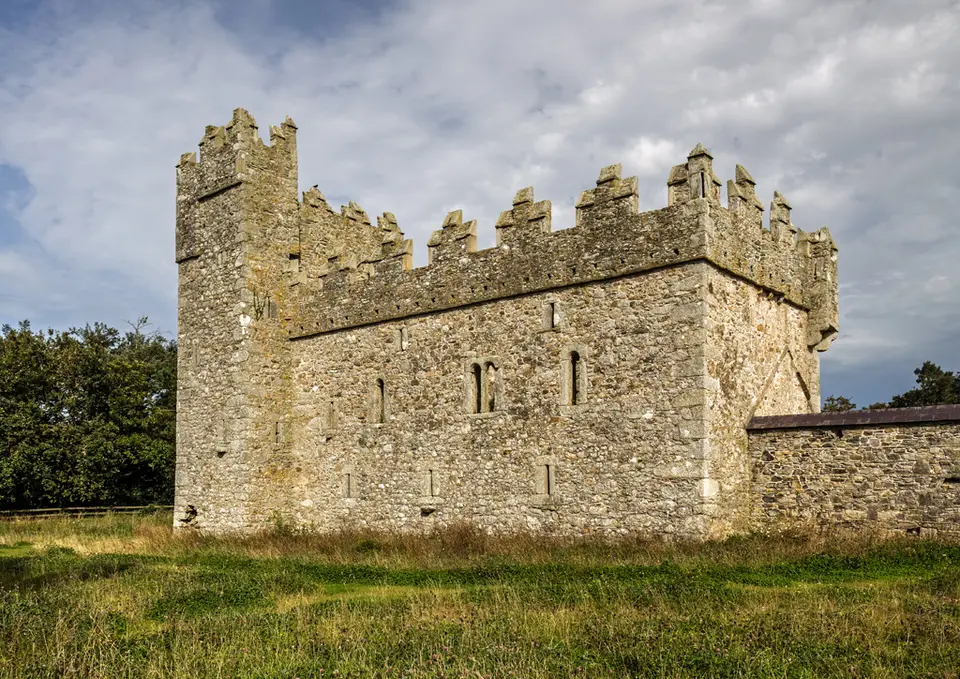 Castles of Leinster: Coolhull, Wexford (1)