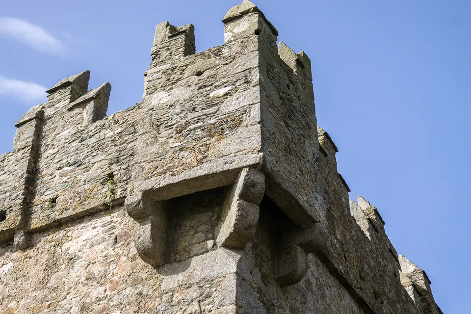 Castles of Leinster: Coolhull, Wexford (2)