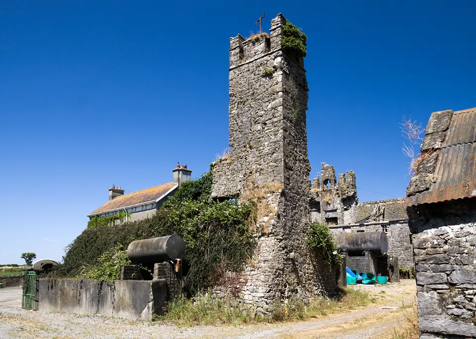 Castles of Leinster: Croghan Fortified House, Offaly (1)