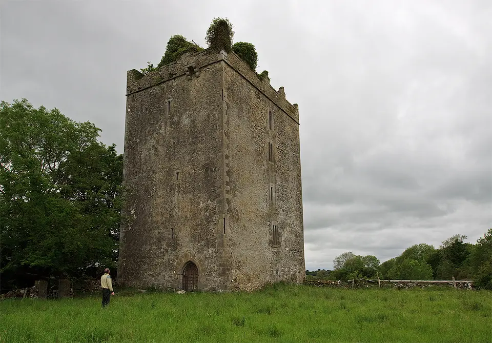 Castles of Leinster: Donore, Westmeath (1)