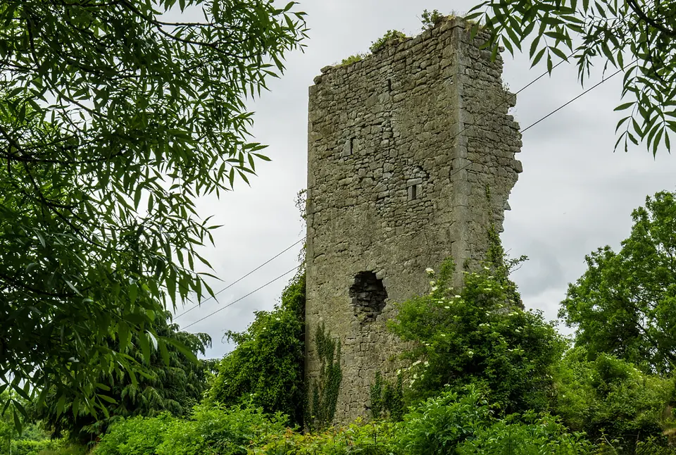 Castles of Leinster: Elfeet, Longford