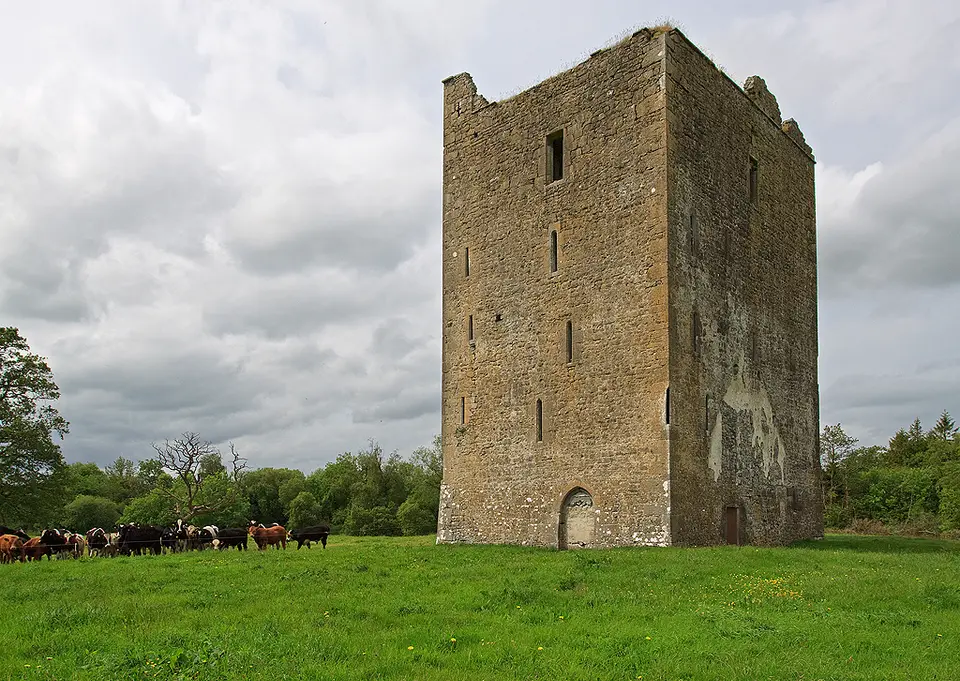 Castles of Leinster: Foulkscourt, Kilkenny (1)