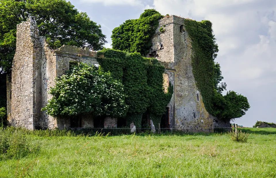 Castles of Leinster: Garryhiggin, Kilkenny (2)