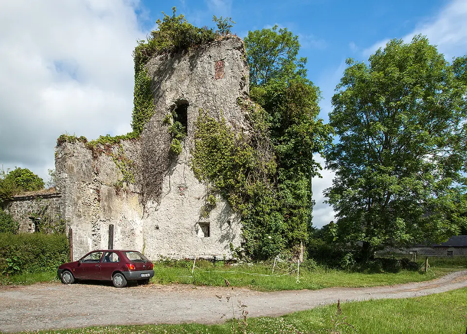 Castles of Leinster: Kilrush, Kilkenny (1)