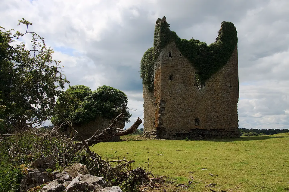 Castles of Leinster: Martinstown, Westmeath (2)