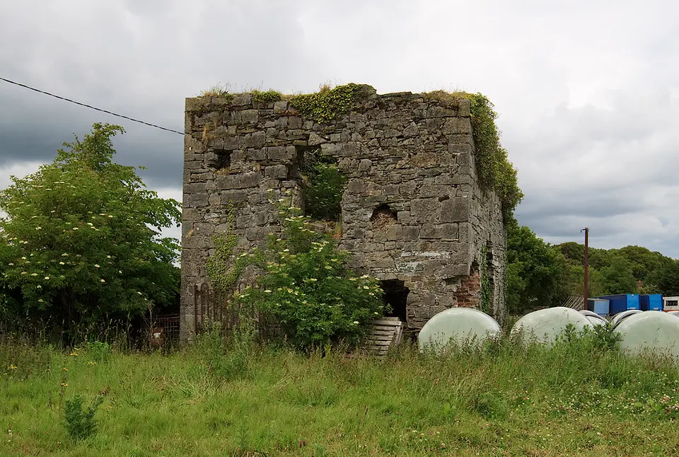 Castles of Leinster: Newcastle, Co. Dublin