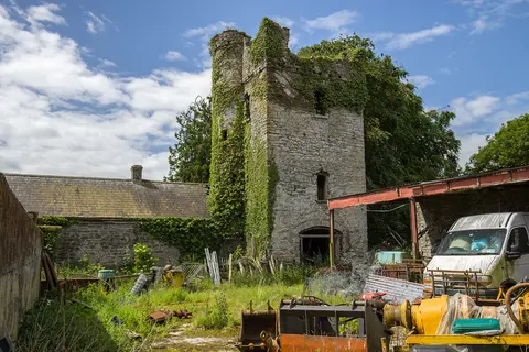 Castles of Leinster: Newcastle, Meath (2)