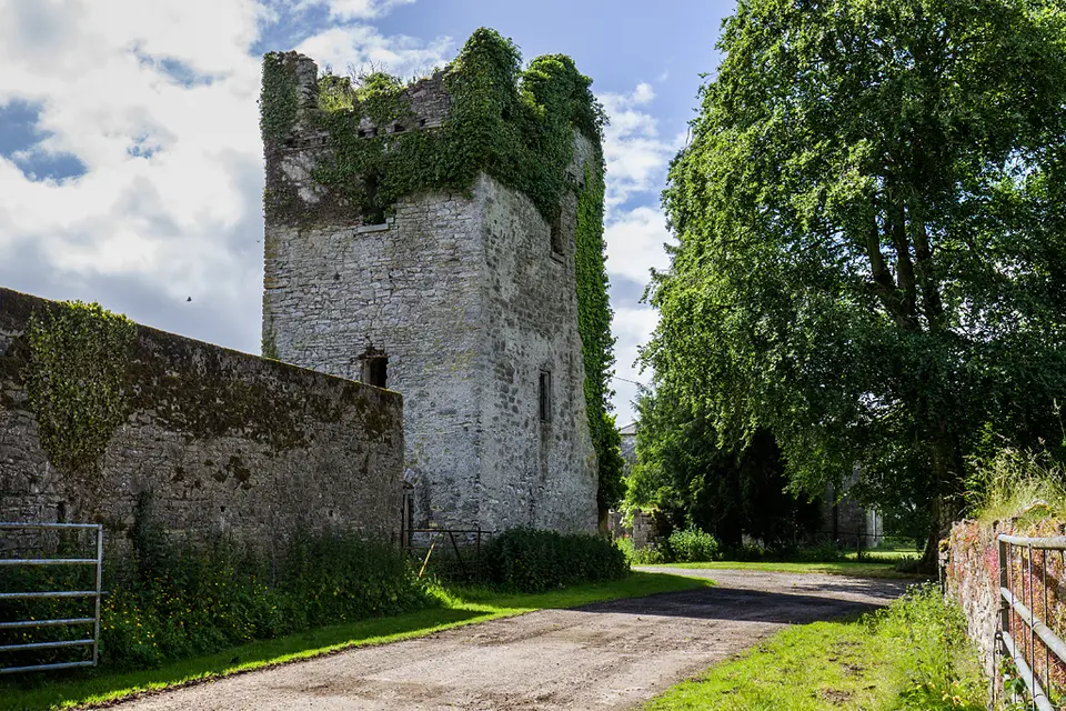 Castles of Leinster: Newcastle, Meath (3)