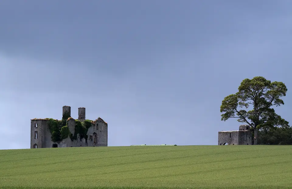 Castles of Leinster: Rathcoffey, Kildare (1)