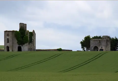 Castles of Leinster: Rathcoffey, Kildare (2)