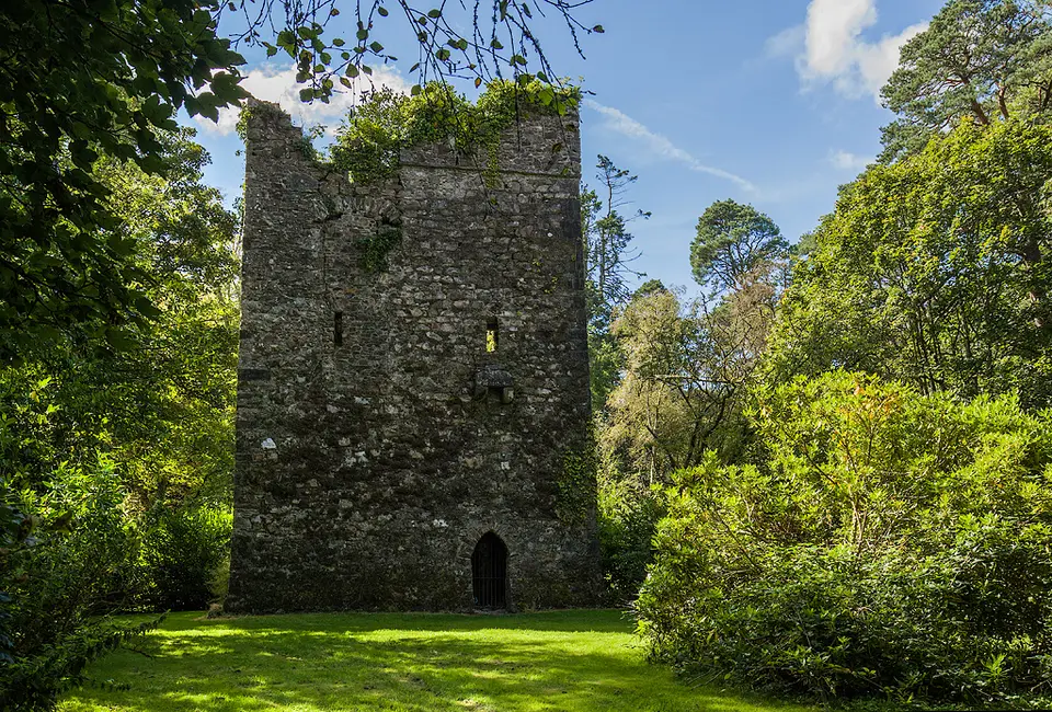 Castles of Leinster: Rathlannon, Wexford (2)