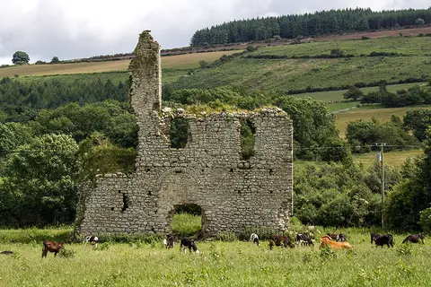 Castles of Leinster: Rathnageeragh, Co. Carlow (1)