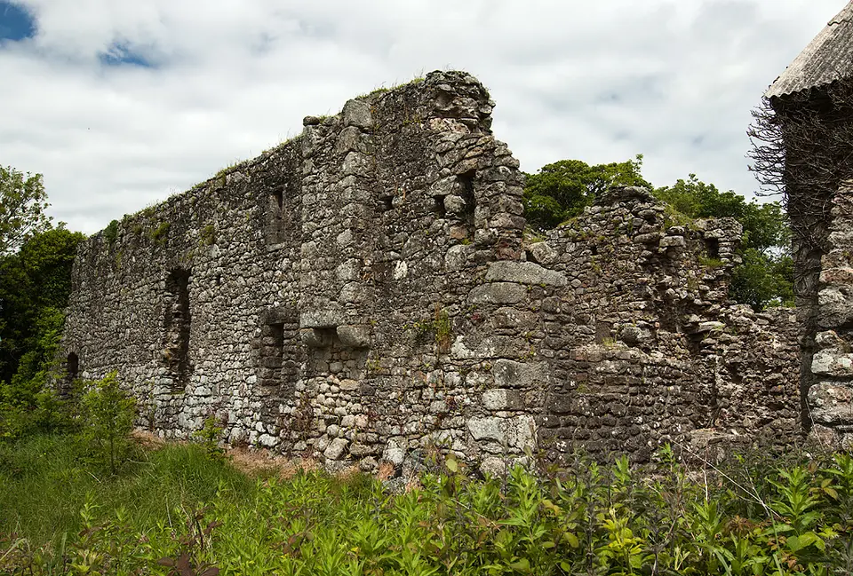 Castles of Leinster: Rathumney, Wexford (1)