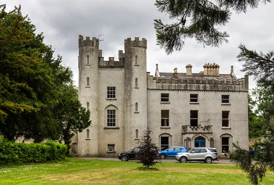 Castles of Leinster: Richardstown, Louth (2)