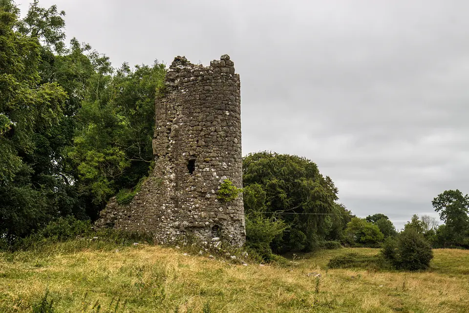 Castles of Leinster: Scurlockstown, Westmeath (1)