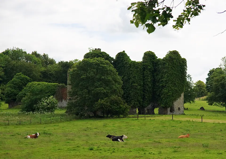 Lynch's Castle, Summerhill, County Meath, Ireland