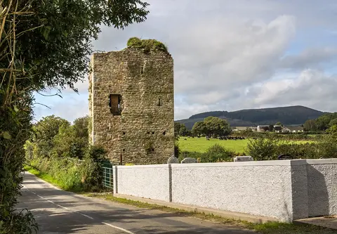 Castles of Leinster: Tellarought, Wexford (1)