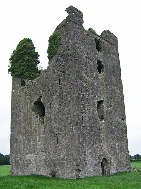 Castles of Leinster: Tinnakill, Laois (2)