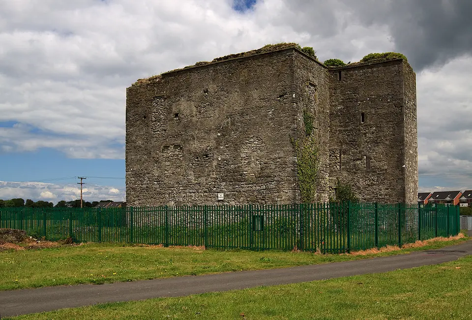 Castles of Leinster: Woodstock, Kildare