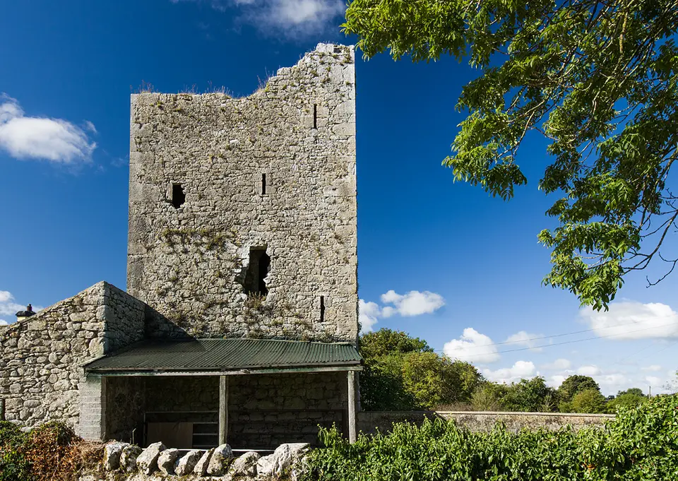 Castles of Munster: Amogan More, Limerick (2)