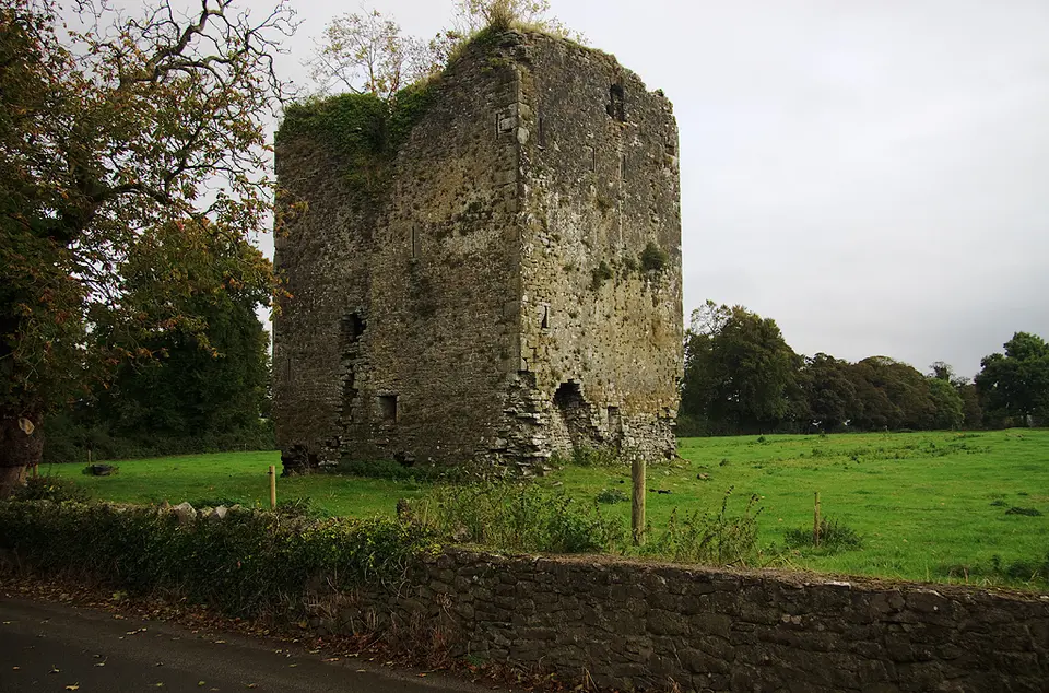 Castles of Munster, Ardmayle, Tipperary geograph.org.uk 1542198